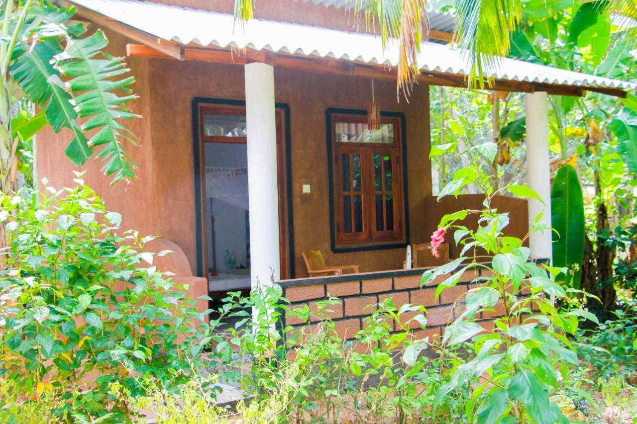 Galaxy View Homestay Sigiriya Exterior photo